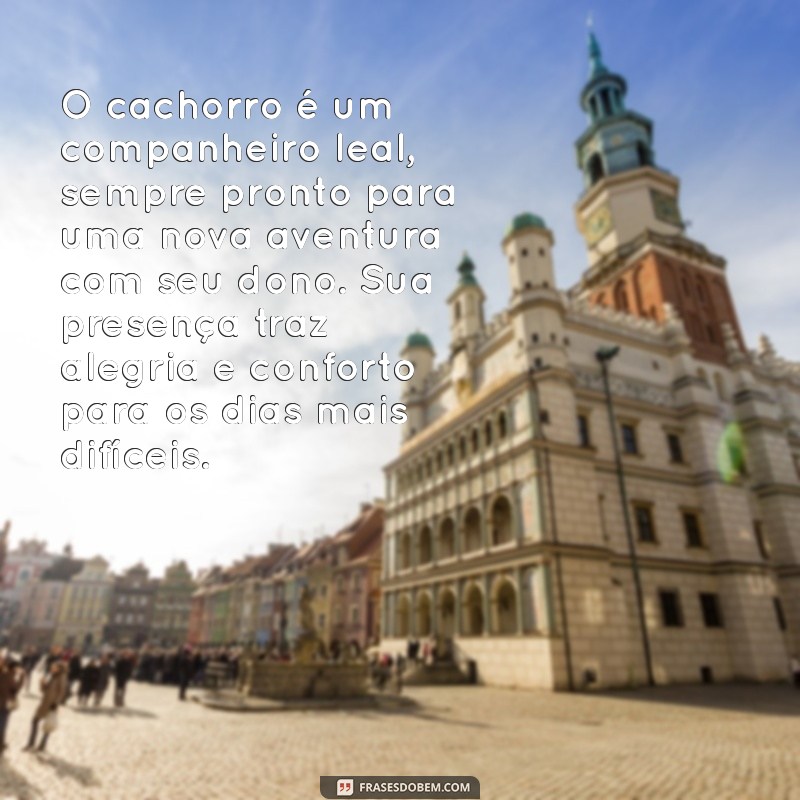 um pequeno texto sobre o cachorro O cachorro é um companheiro leal, sempre pronto para uma nova aventura com seu dono. Sua presença traz alegria e conforto para os dias mais difíceis.