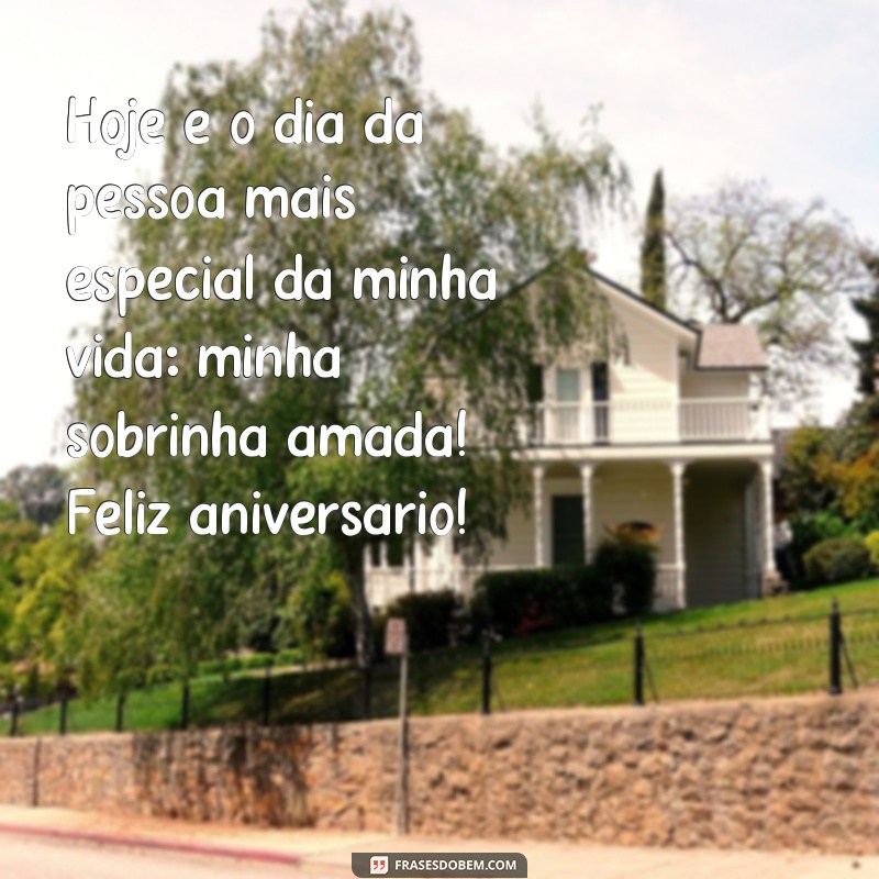 frases feliz aniversário de tia para sobrinha Hoje é o dia da pessoa mais especial da minha vida: minha sobrinha amada! Feliz aniversário!