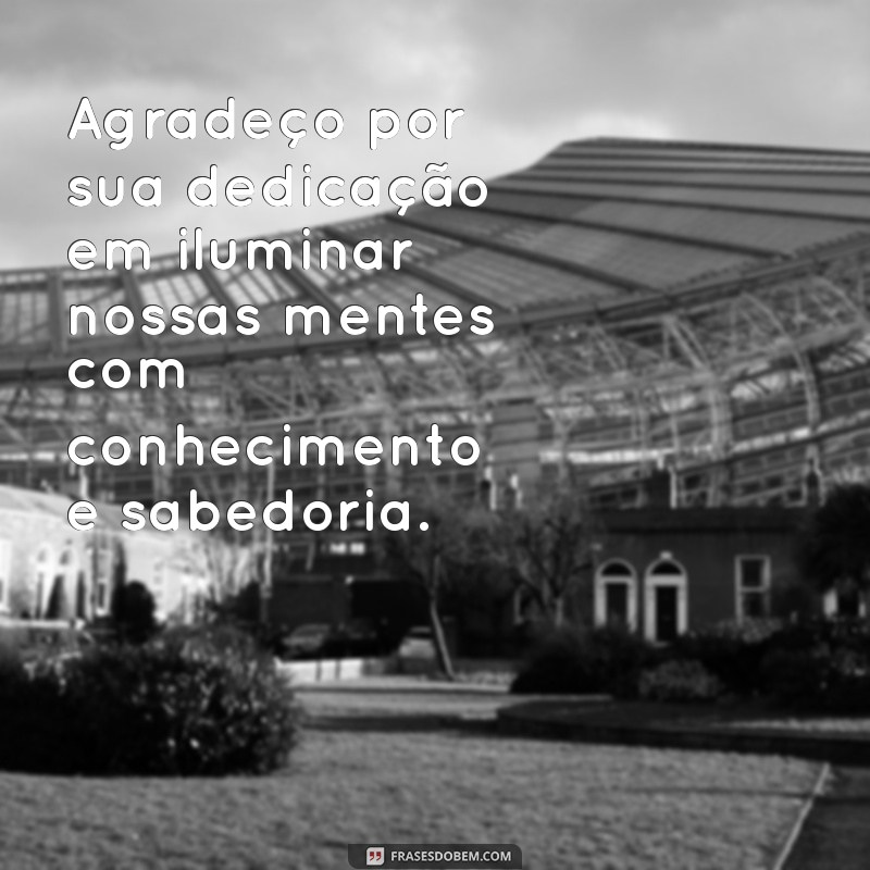 mensagem de gratidão professor Agradeço por sua dedicação em iluminar nossas mentes com conhecimento e sabedoria.