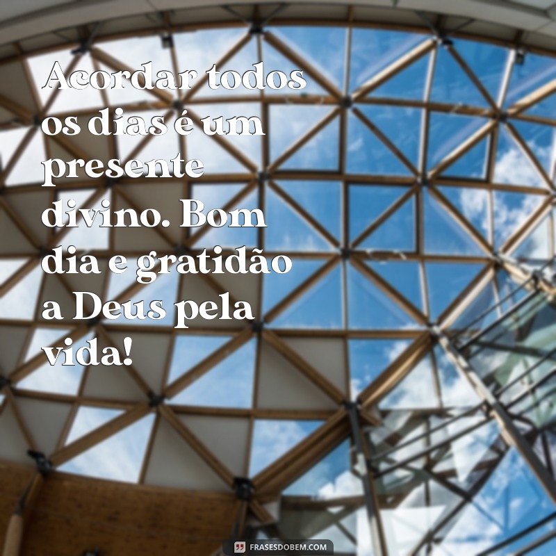 frases de bom dia e gratidão a deus Acordar todos os dias é um presente divino. Bom dia e gratidão a Deus pela vida!