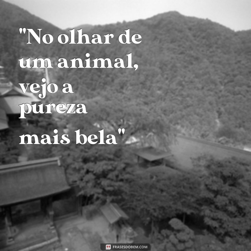 frases poema sobre animais 