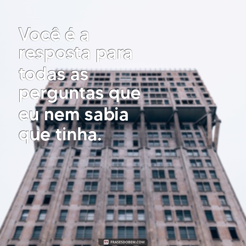 Descubra as Melhores Frases para Celebrar um Novo Amor 