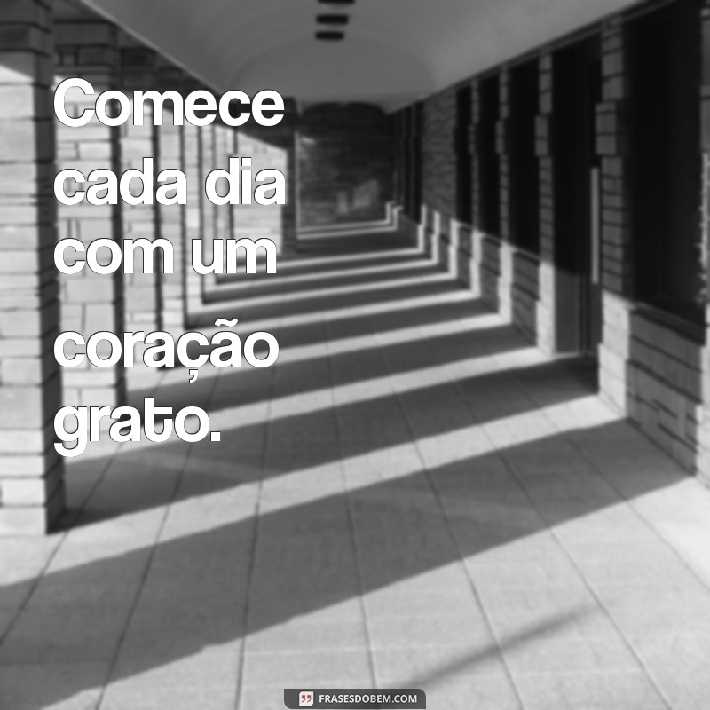 Imagens de Gratidão: Inspire-se com Frases e Mensagens Poderosas 