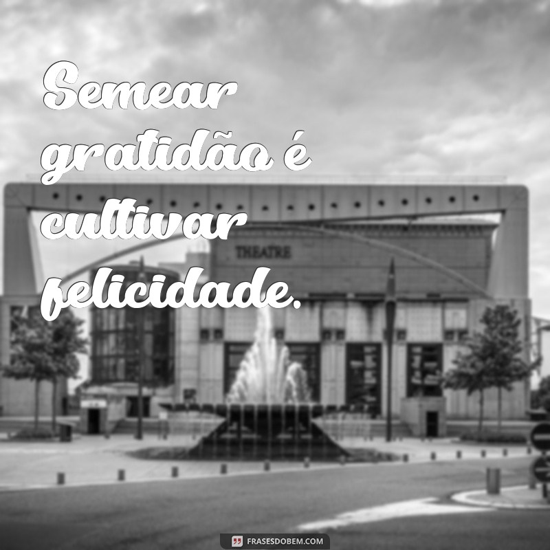 Imagens de Gratidão: Inspire-se com Frases e Mensagens Poderosas 