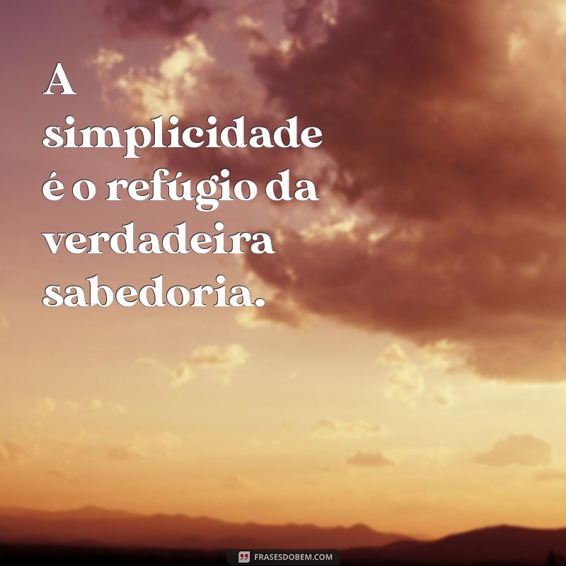 Frases Inspiradoras de Paz e Sabedoria para Transformar sua Vida 