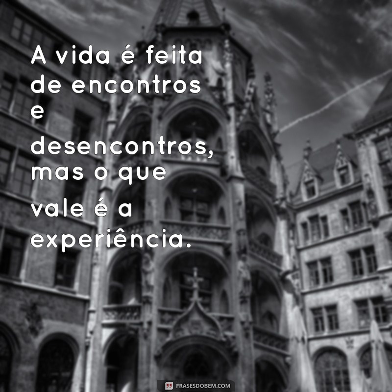 frases lulu santos A vida é feita de encontros e desencontros, mas o que vale é a experiência.