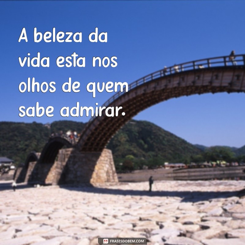 As Mais Belas Frases de Reflexão para Inspirar Sua Jornada 