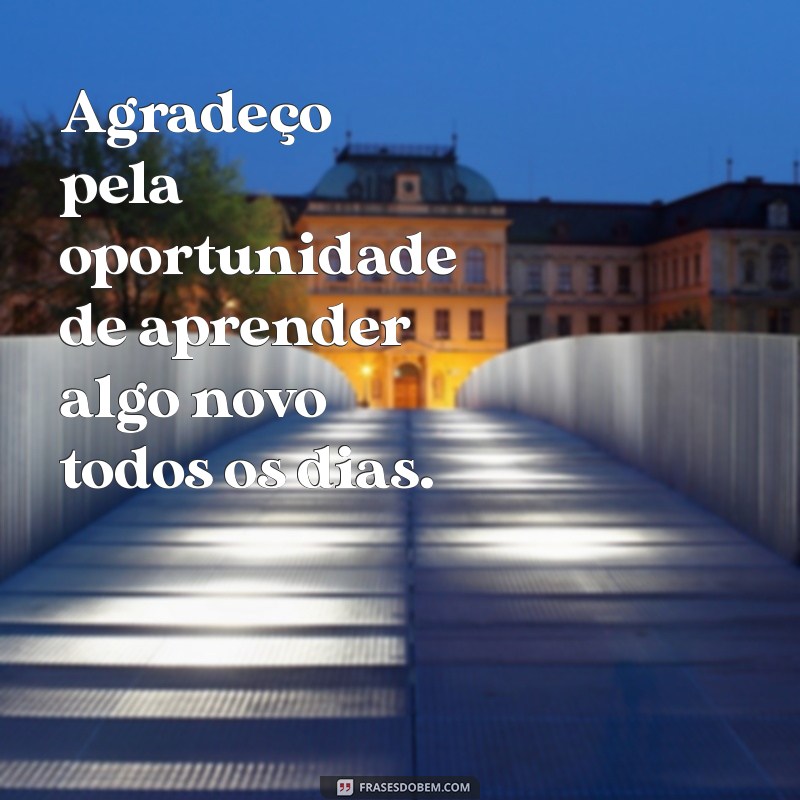 agradeço frases Agradeço pela oportunidade de aprender algo novo todos os dias.