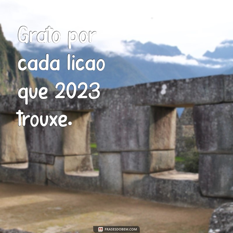 frases agradecimento 2023 Grato por cada lição que 2023 trouxe.