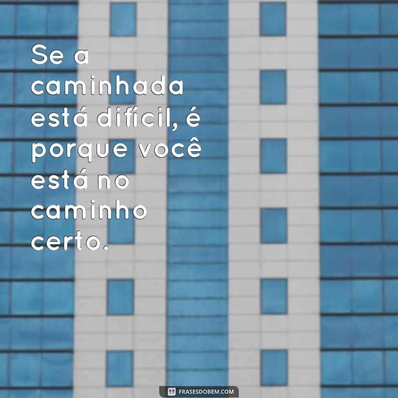 As Melhores Frases de Cria para Arrasar no Instagram 