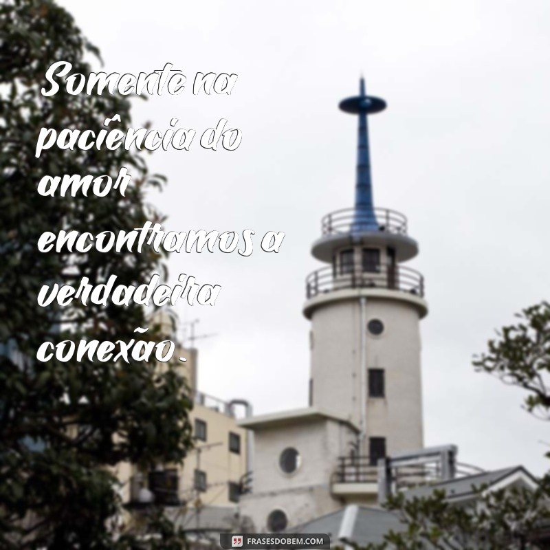 Frases Inspiradoras sobre o Amor: A Paciência como Virtude 