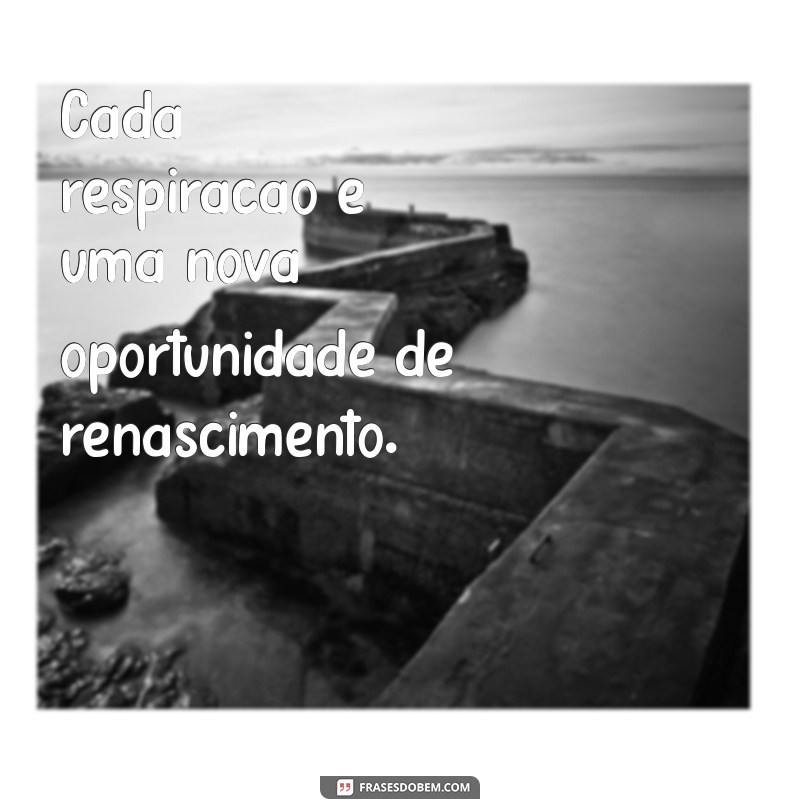 Frases Budistas Positivas para Inspirar sua Vida e Acalmar a Mente 