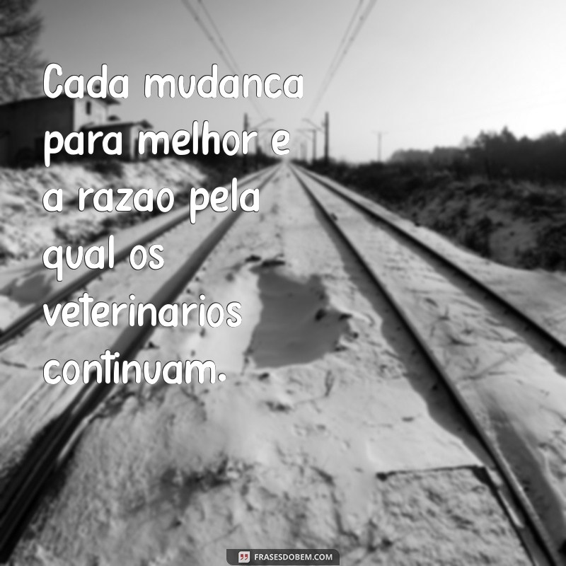 Frases Inspiradoras para Veterinários: Sabedoria e Paixão pelo Cuidado Animal 