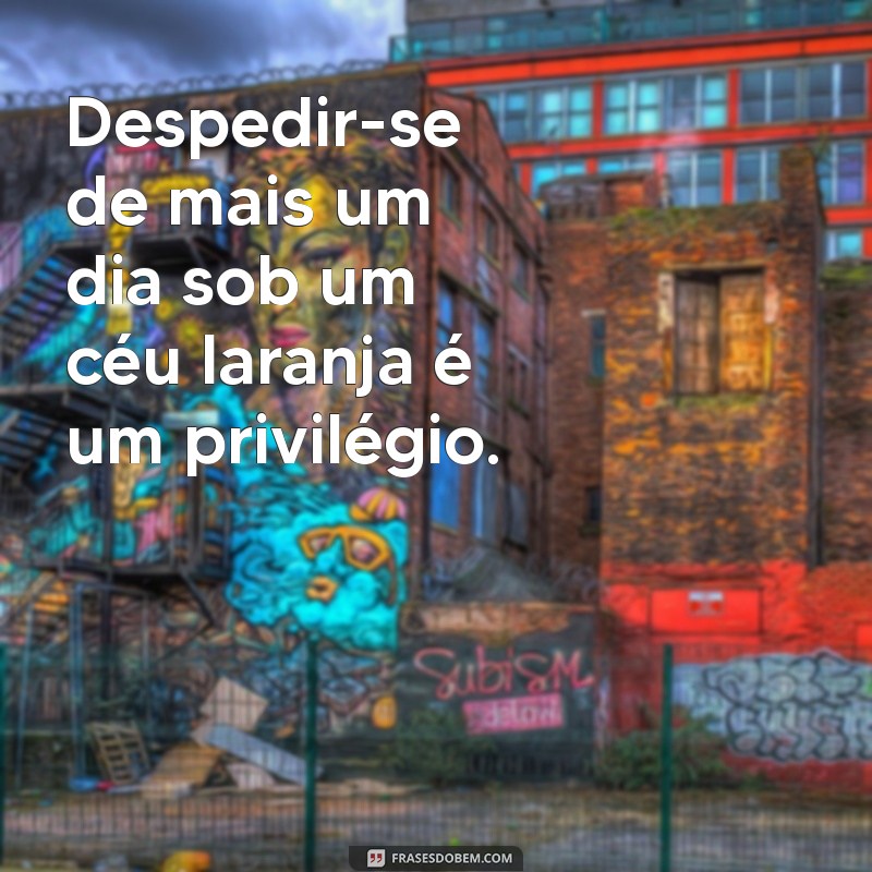 As Melhores Frases Inspiradoras Sobre o Pôr do Sol 