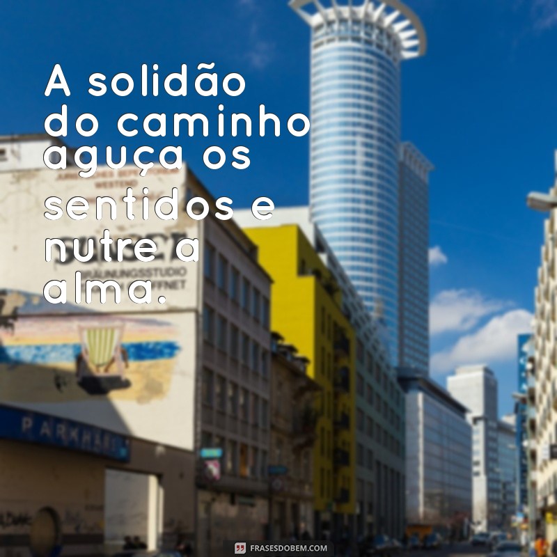 Frases Inspiradoras para Caminhar Sozinho e Refletir 