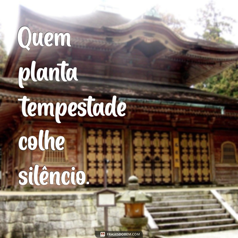 mensagem de provérbio Quem planta tempestade colhe silêncio.