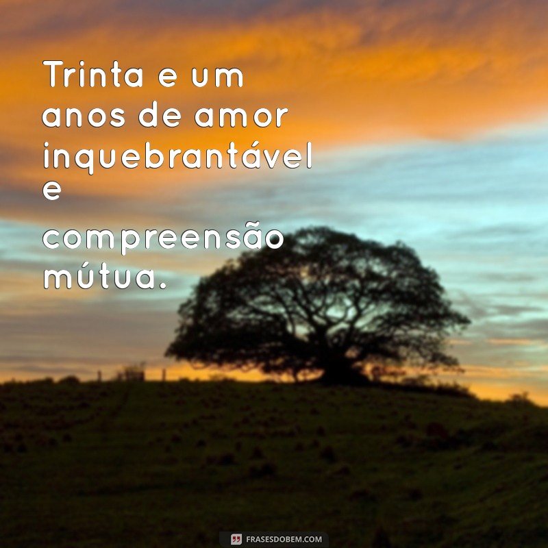 bodas de 31 anos de casamento Trinta e um anos de amor inquebrantável e compreensão mútua.