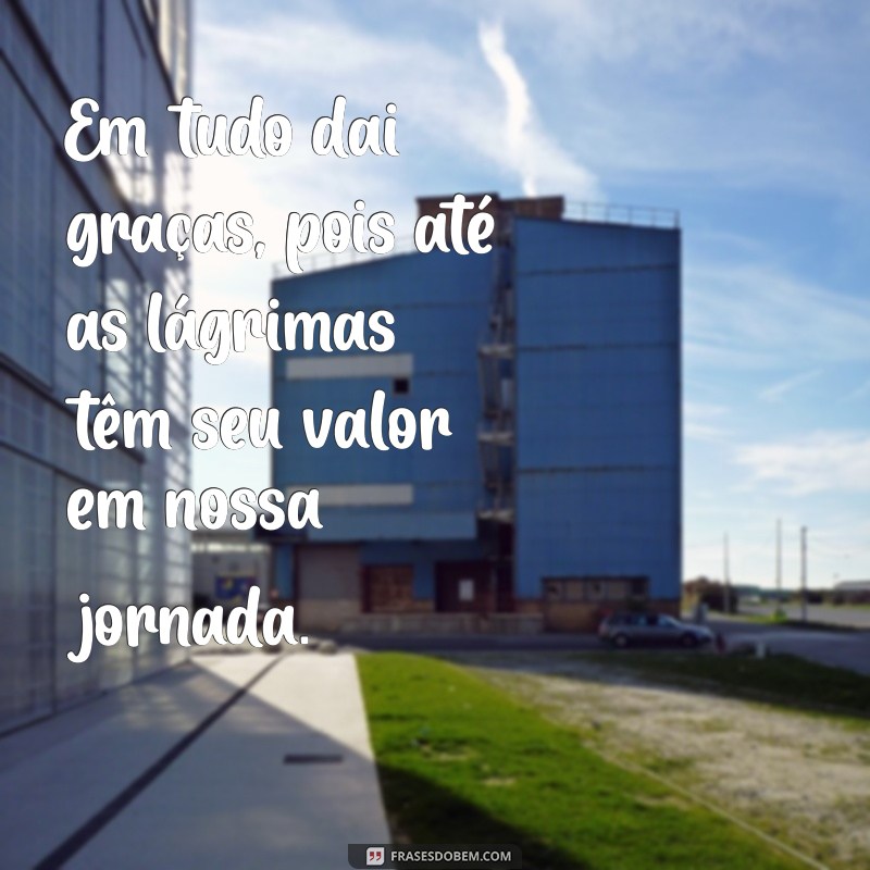 Frases Inspiradoras: A Importância de Agradecer em Todas as Situações 