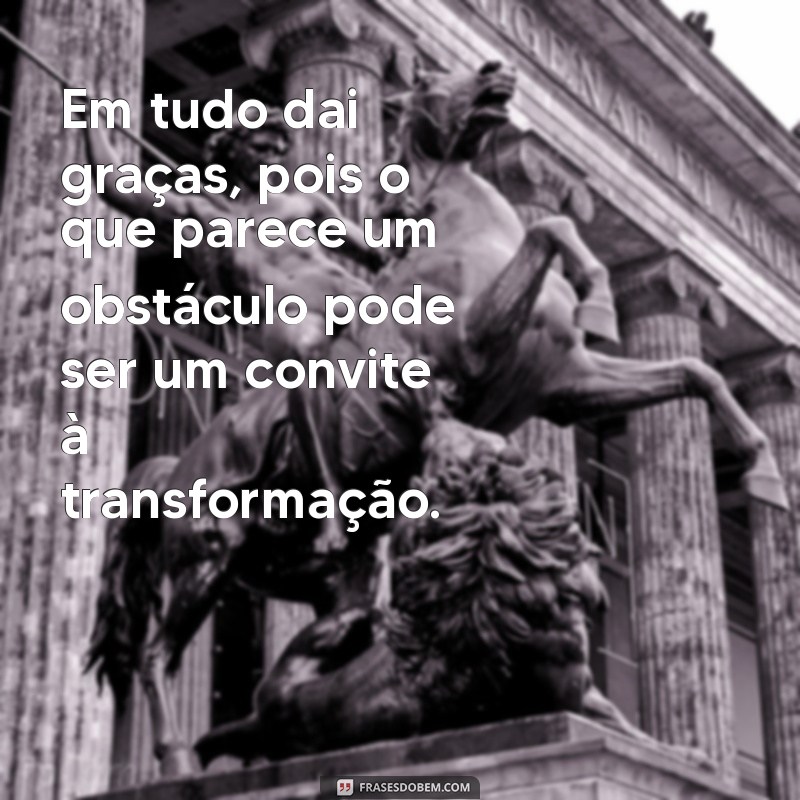 Frases Inspiradoras: A Importância de Agradecer em Todas as Situações 