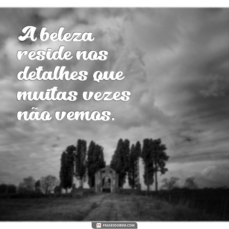 Frases Inspiradoras com Imagens: Encontre a Motivação que Você Precisa 