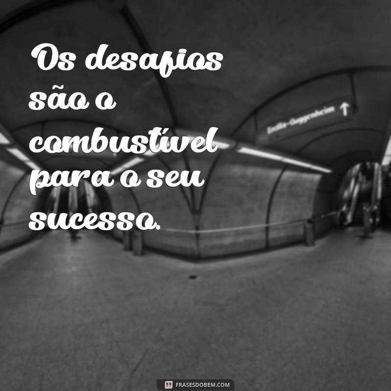 Frases Motivadoras para Inspirar e Transformar Sua Vida 