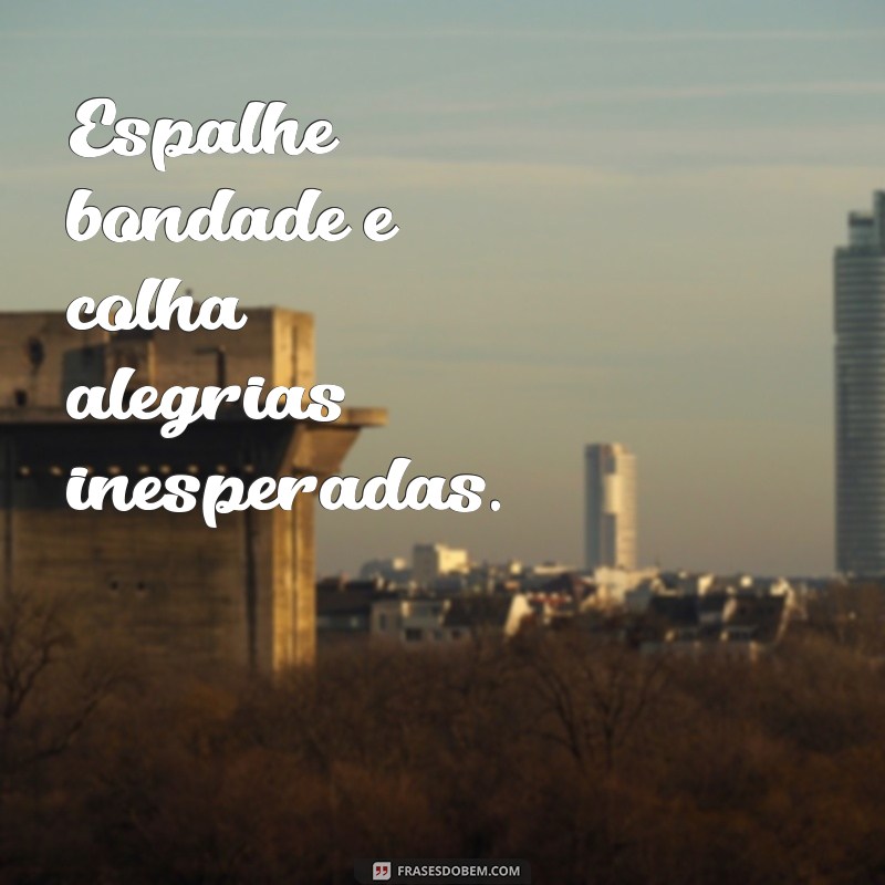 Frases Abençoadas: Inspirações para Atraír Positividade e Gratidão 