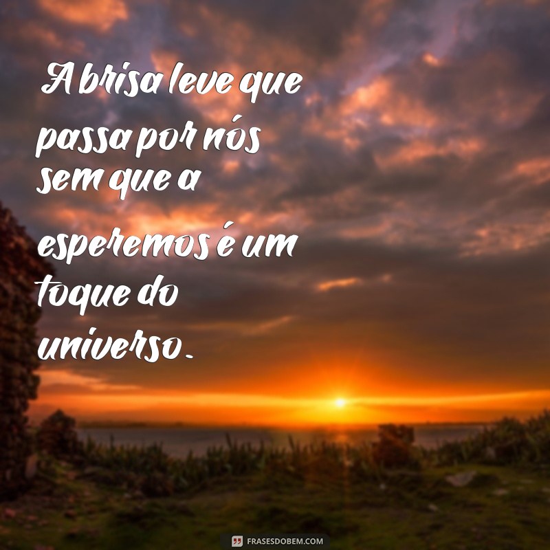 Frases Inspiradoras para Capturar Momentos Únicos 