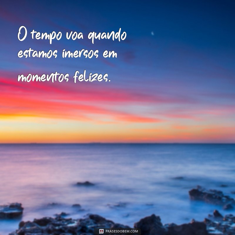 frases de tempo passa rapido O tempo voa quando estamos imersos em momentos felizes.