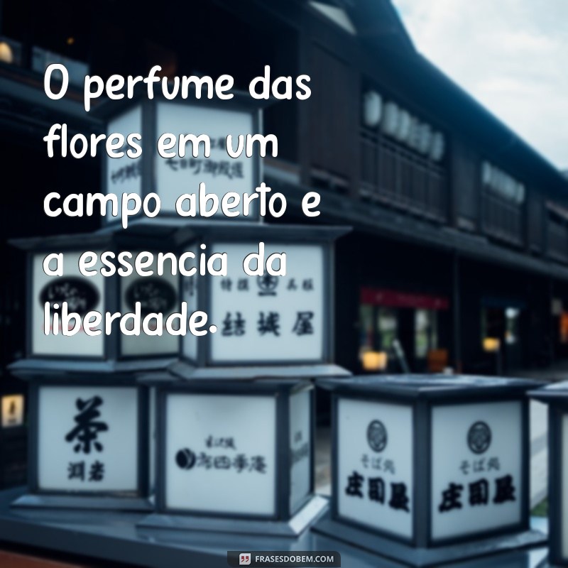 Descubra as Melhores Frases Inspiradoras sobre Lugares Especiais 