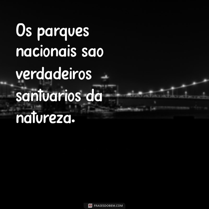 Descubra as Melhores Frases Inspiradoras sobre Lugares Especiais 