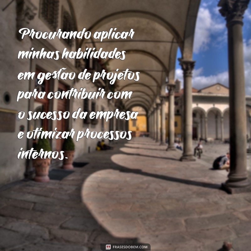 objetivo para currículo exemplo Procurando aplicar minhas habilidades em gestão de projetos para contribuir com o sucesso da empresa e otimizar processos internos.