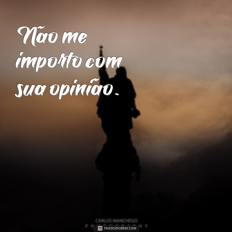 to nem ai pra sua opinião Não me importo com sua opinião.