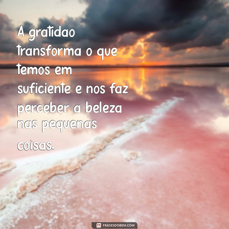 lindas mensagens de gratidão A gratidão transforma o que temos em suficiente e nos faz perceber a beleza nas pequenas coisas.