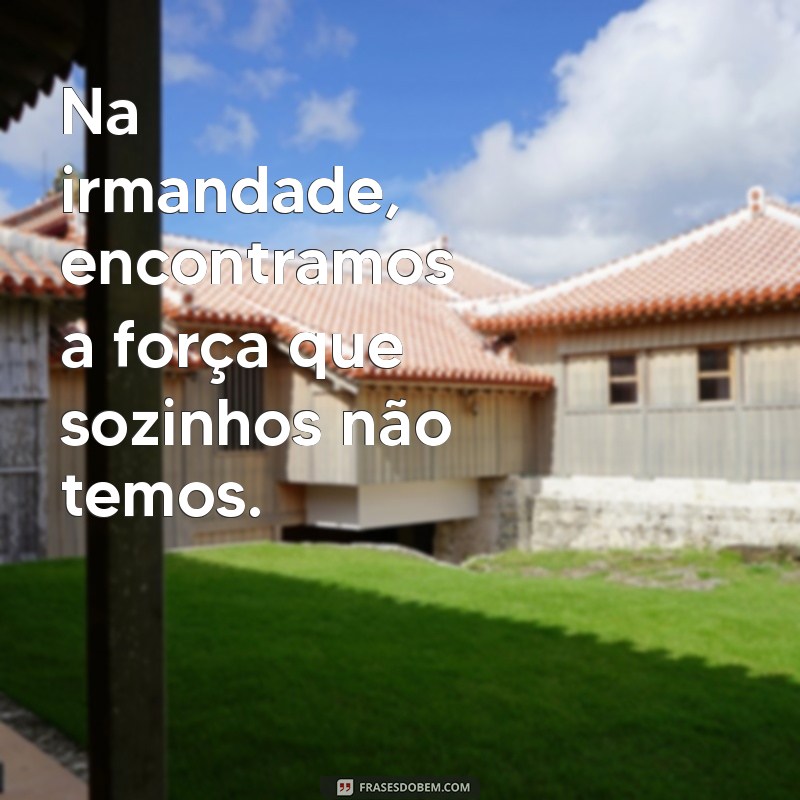 Irmandade em Palavras: Frases Inspiradoras sobre Laços Fraternos 