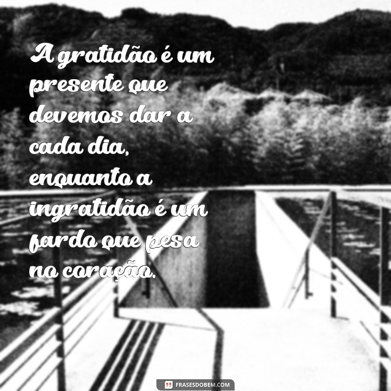 Reflexões Profundas: Como Lidar com a Ingratidão e Valorizar o que Você Tem 