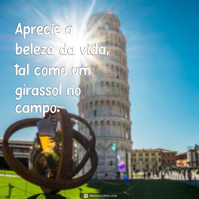 Seja um Girassol: Inspiração e Positividade em Sua Vida 