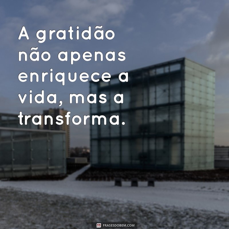 Versículos de Gratidão: Inspirações Bíblicas para Agradecer a Vida 