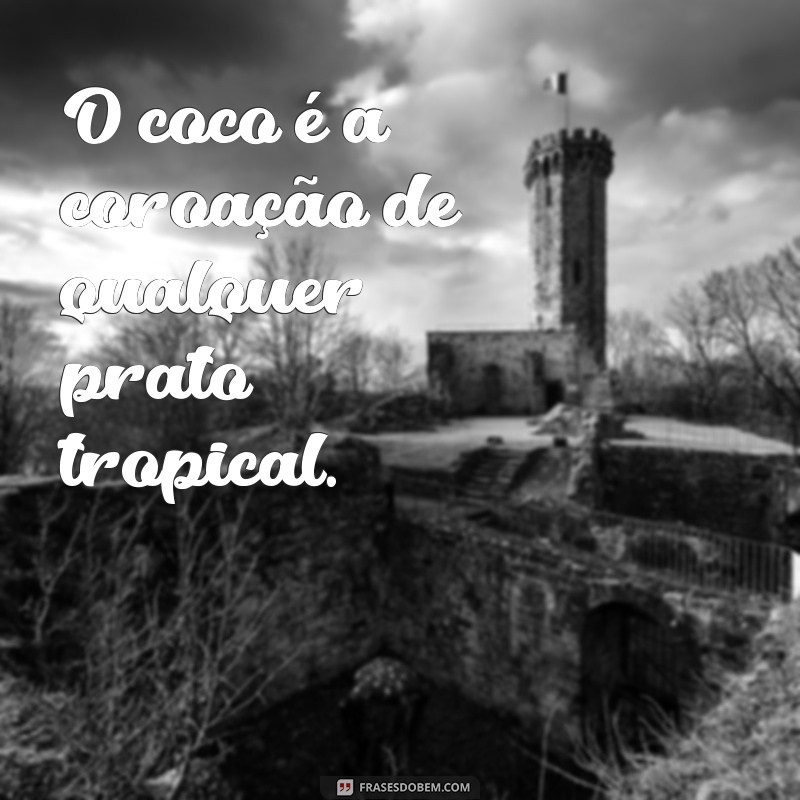 Frases Criativas e Inspiradoras com Coco para Alegrar o Seu Dia 