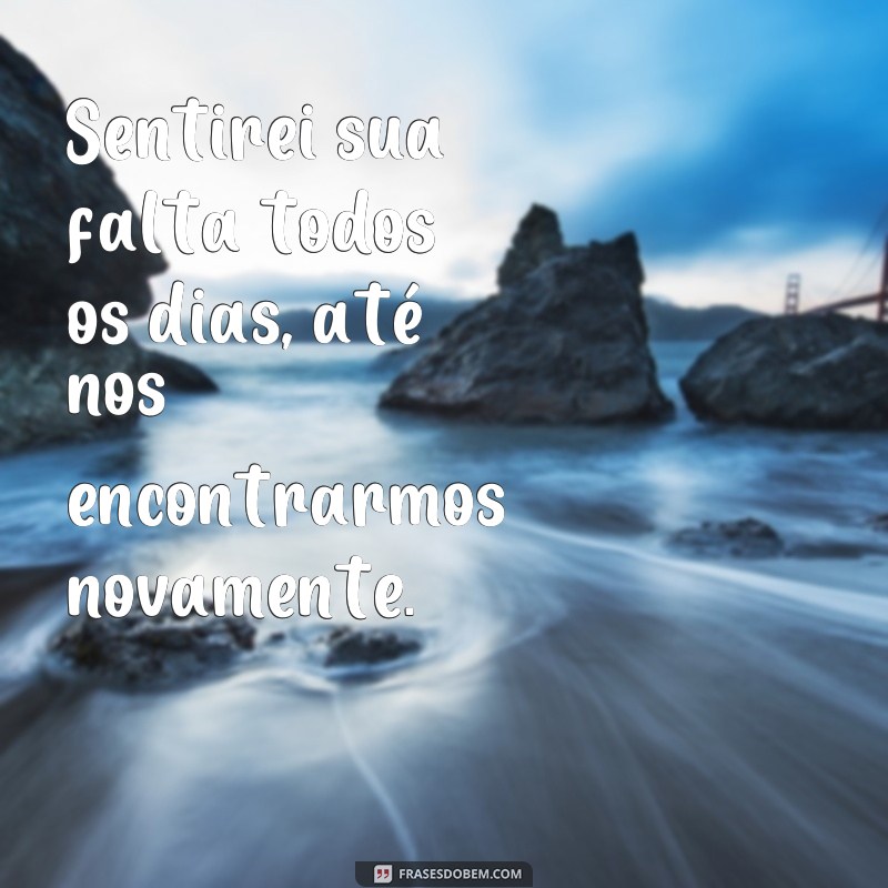 Expressando sentimentos de luto através de frases e fotos 