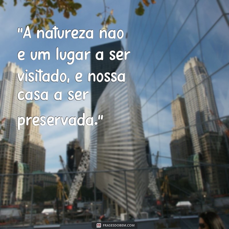 frases de meio ambiente 