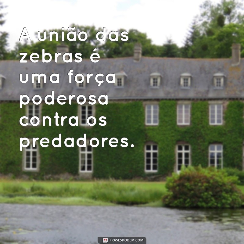 Inspirações e Reflexões: Frases Criativas com a Palavra Zebra 