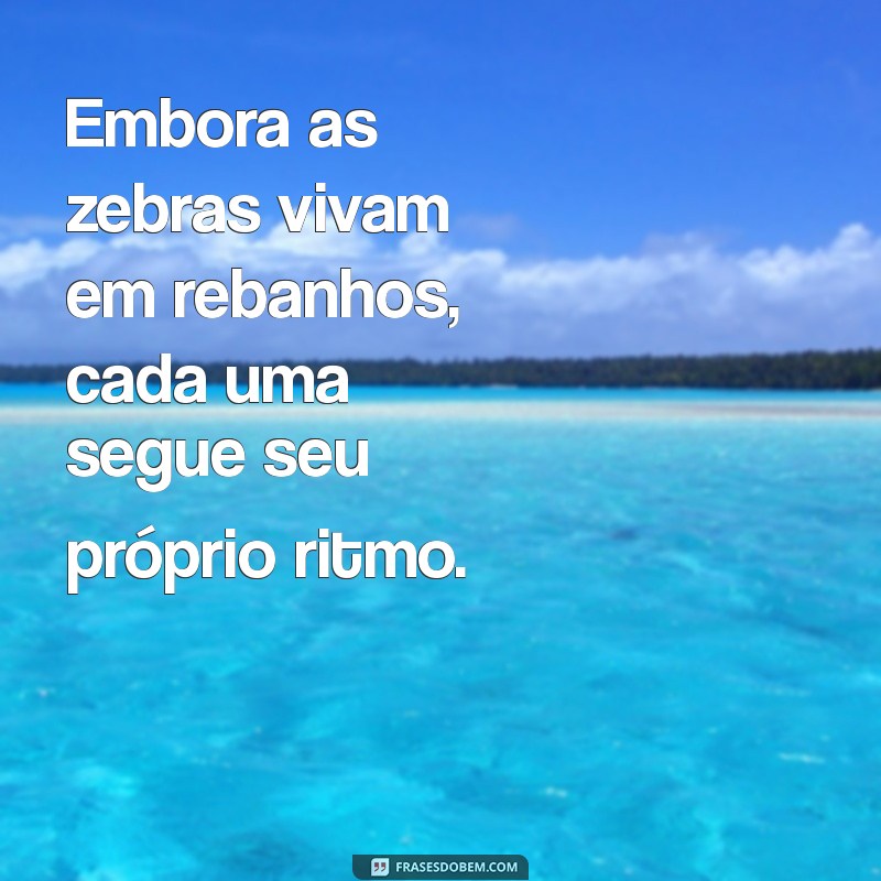 Inspirações e Reflexões: Frases Criativas com a Palavra Zebra 