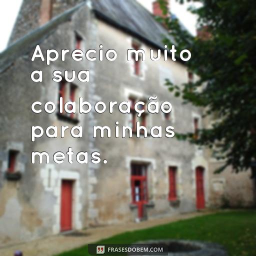 Como Agradecer ao Chefe de Forma Profissional: 30 Frases de Agradecimento Aprecio muito a sua colaboração para minhas metas.