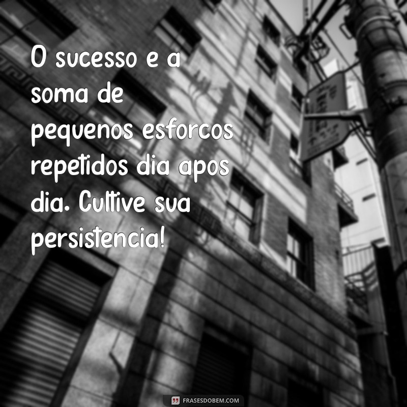 mensagem de prosperidade e sucesso O sucesso é a soma de pequenos esforços repetidos dia após dia. Cultive sua persistência!