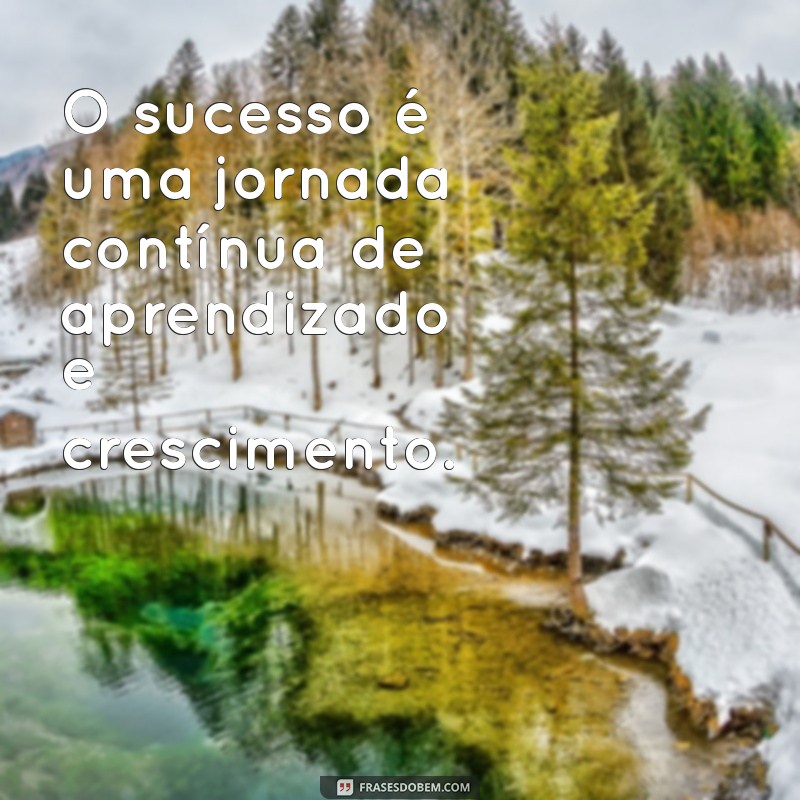 Frases Motivacionais Inspiradoras para Alcançar o Sucesso 