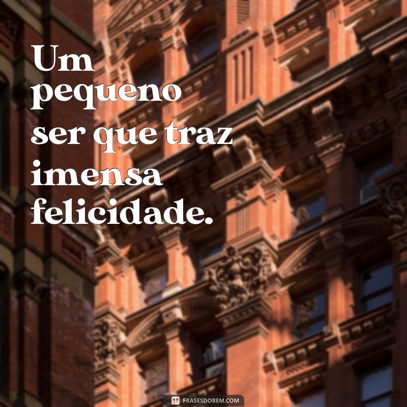 Frases Inspiradoras para Celebrar 2 Meses de Nascimento no Estilo Tumblr 