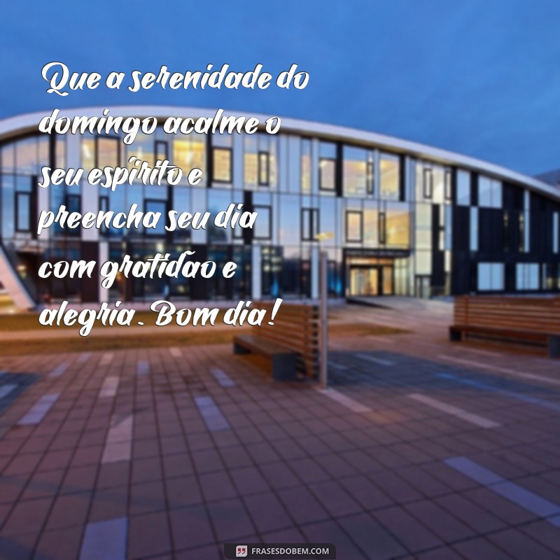 reflexão:egfd6tlurws= bom dia domingo Que a serenidade do domingo acalme o seu espírito e preencha seu dia com gratidão e alegria. Bom dia!