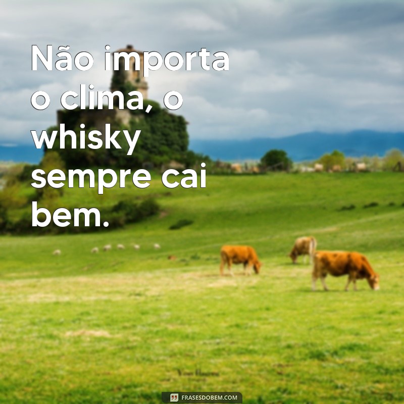 Divirta-se com as melhores frases de whisky engraçadas para compartilhar com os amigos 