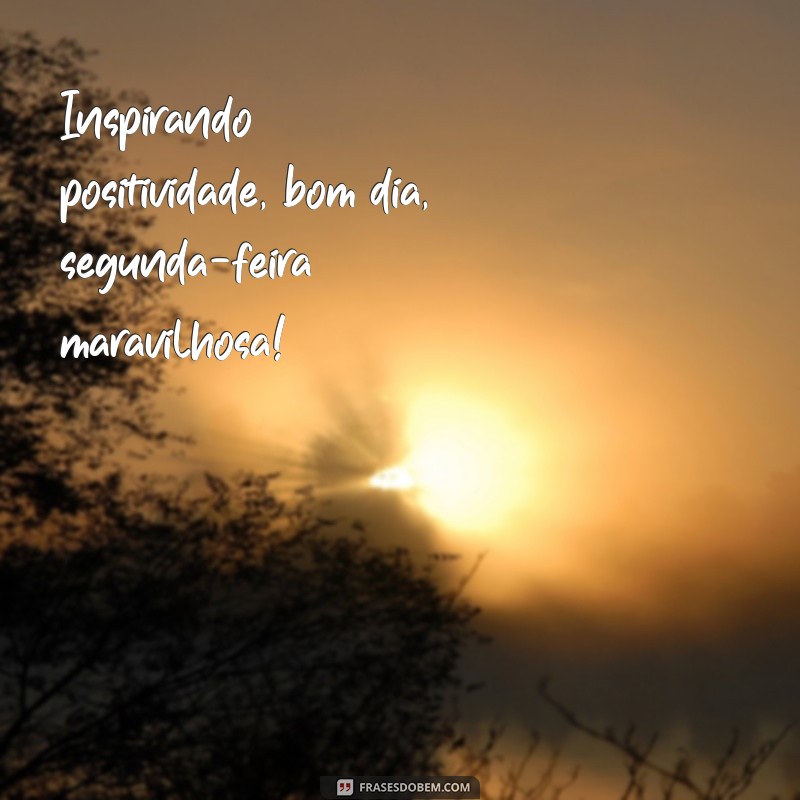 Comece Sua Semana com Energia: Bom Dia, Segunda-Feira Maravilhosa! 