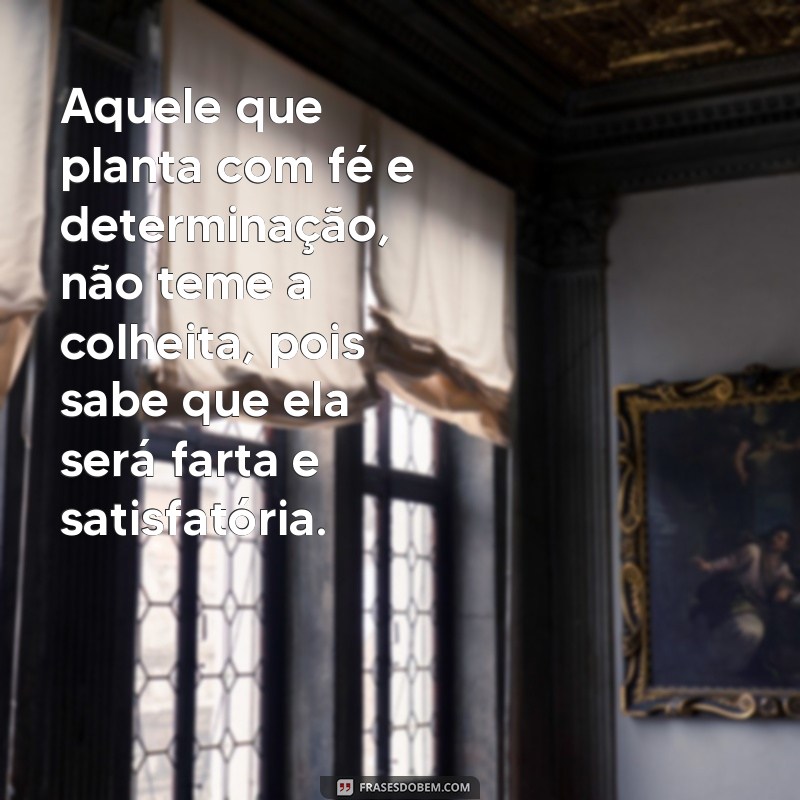 Conheça as melhores frases sobre plantar e colher sem medo do futuro 